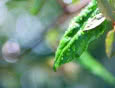 Co powinniśmy wiedzieć na temat Dyrektywy Europejskiej ErP?